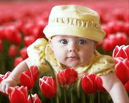 angel in the flaor's